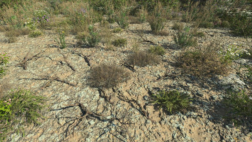 Dead Branches