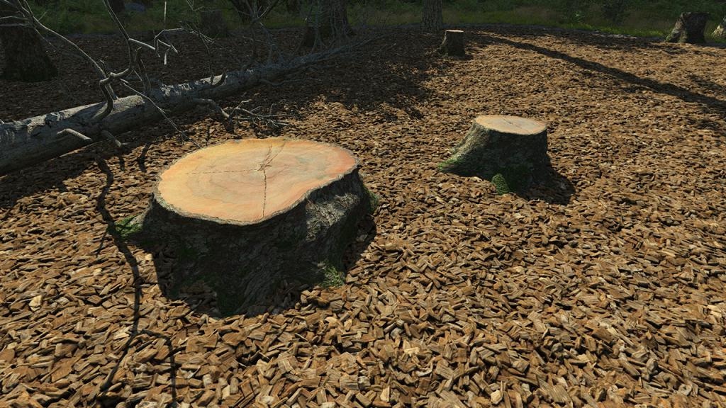 Cut Tree Stumps