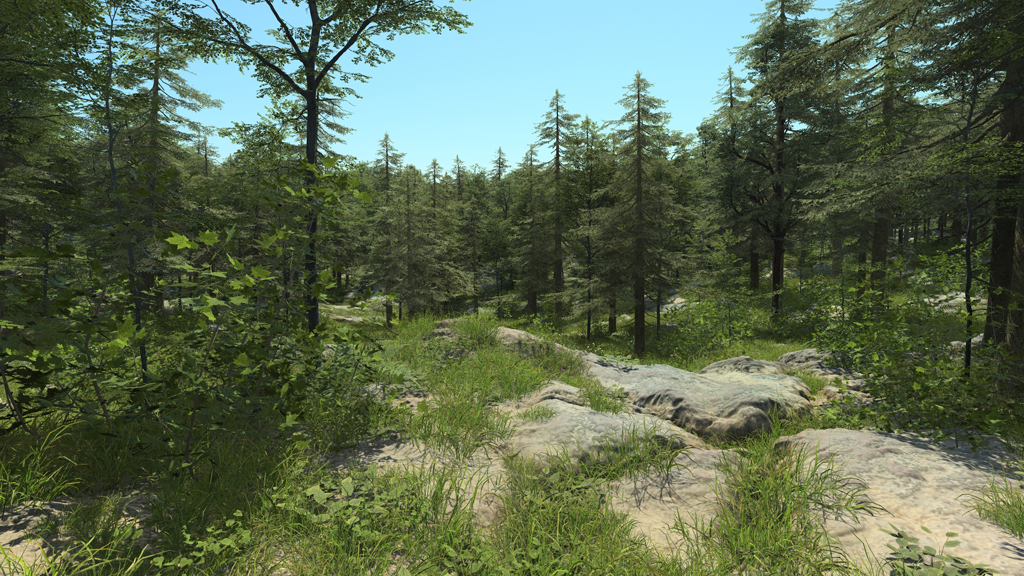European forest
