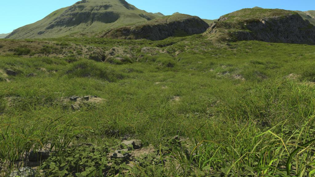 Grassland