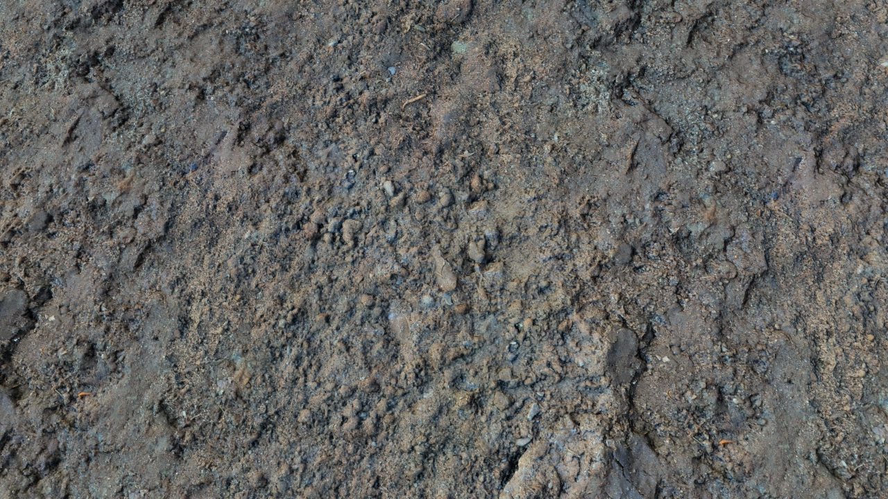 Fallow grounds_1