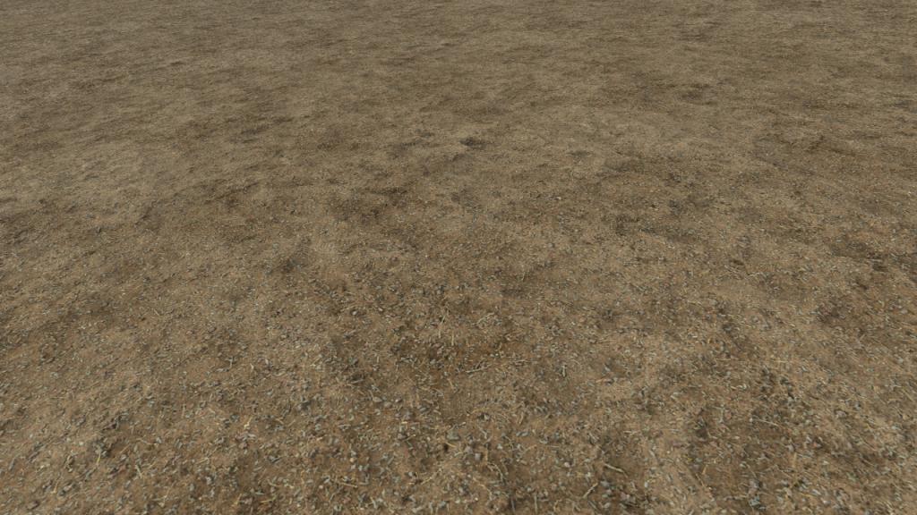Arid forest grounds