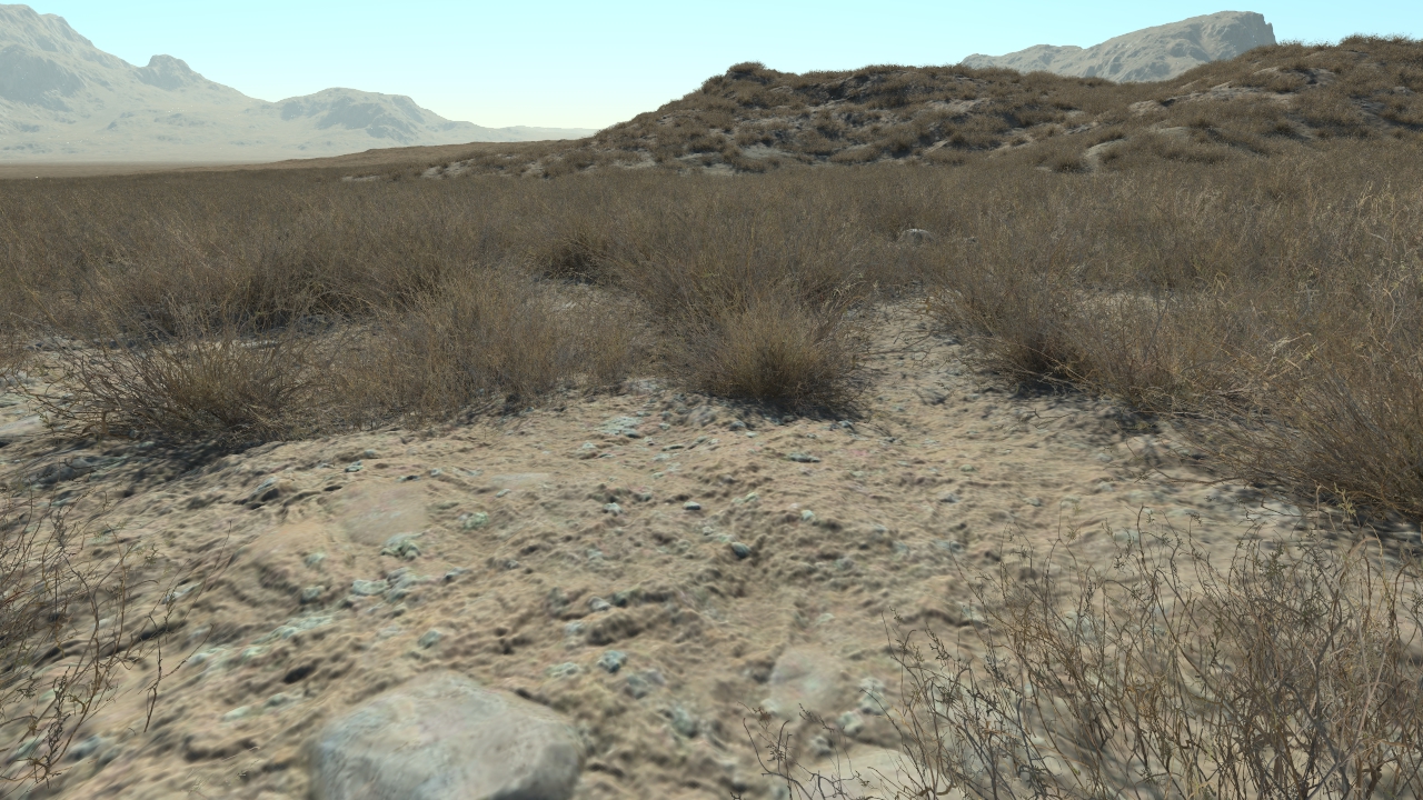 Dry Calluna_0