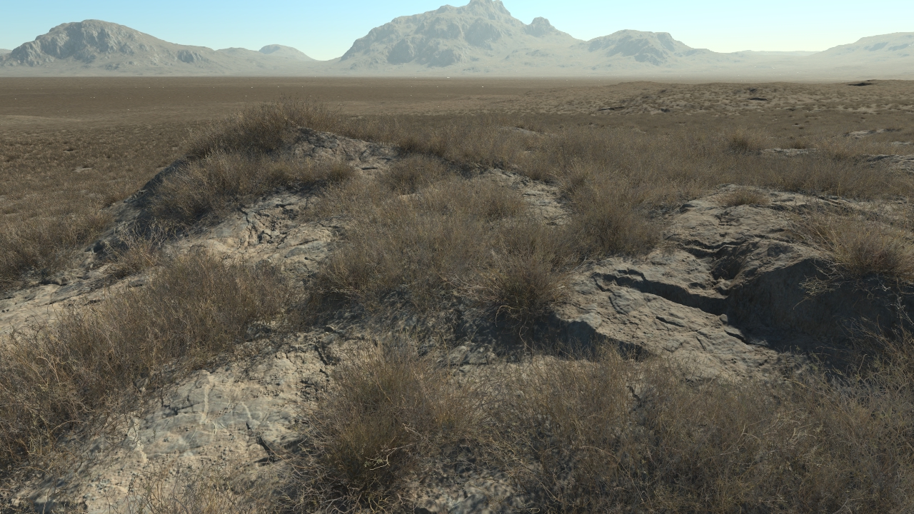 Dry Calluna_2