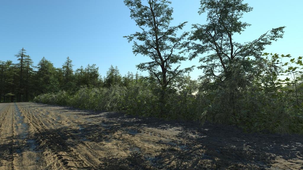 Wild Hedge