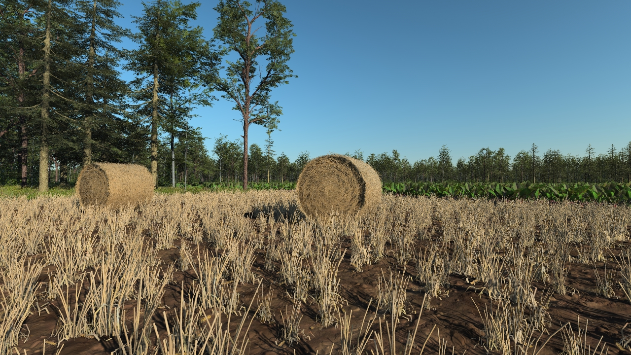 Hay bales_1