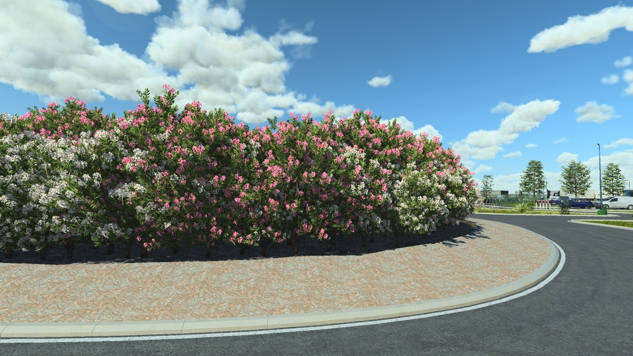 Flowery laurel bushes_2