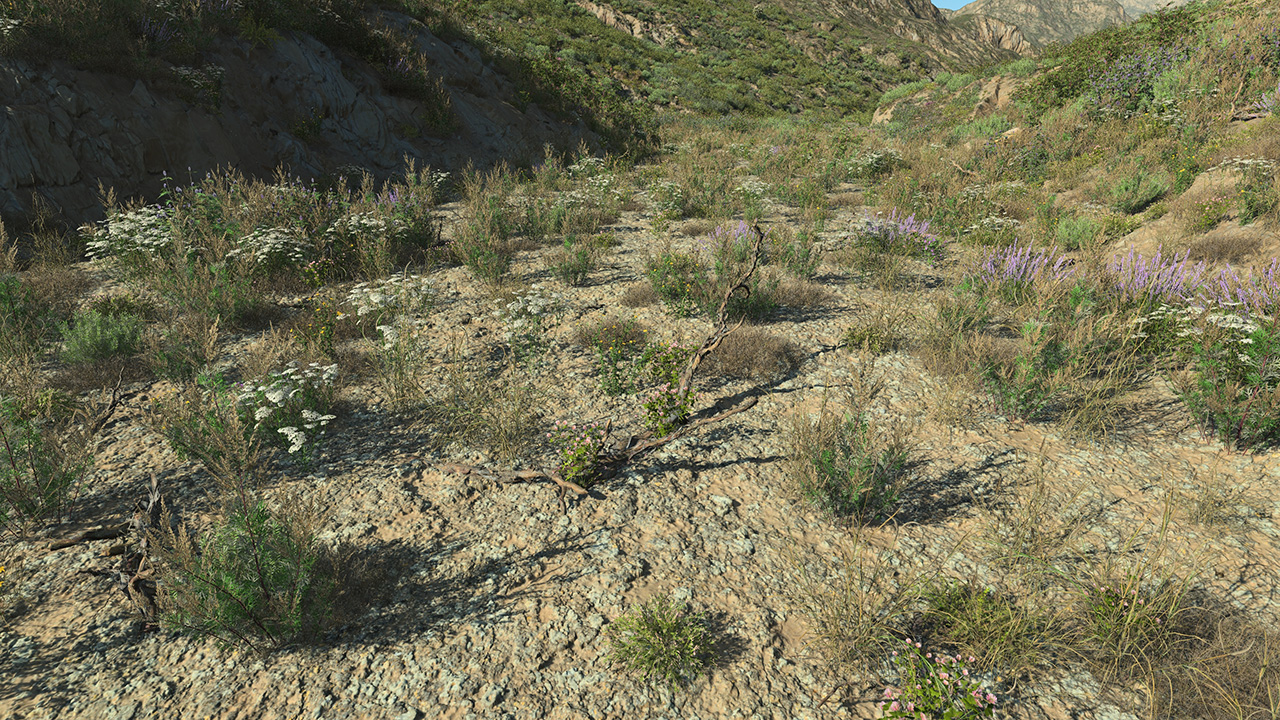 Dead Branches_1