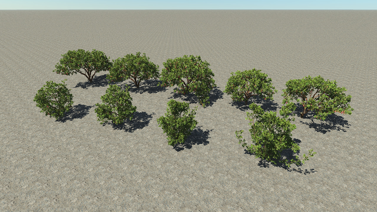 Strawberry Trees_3