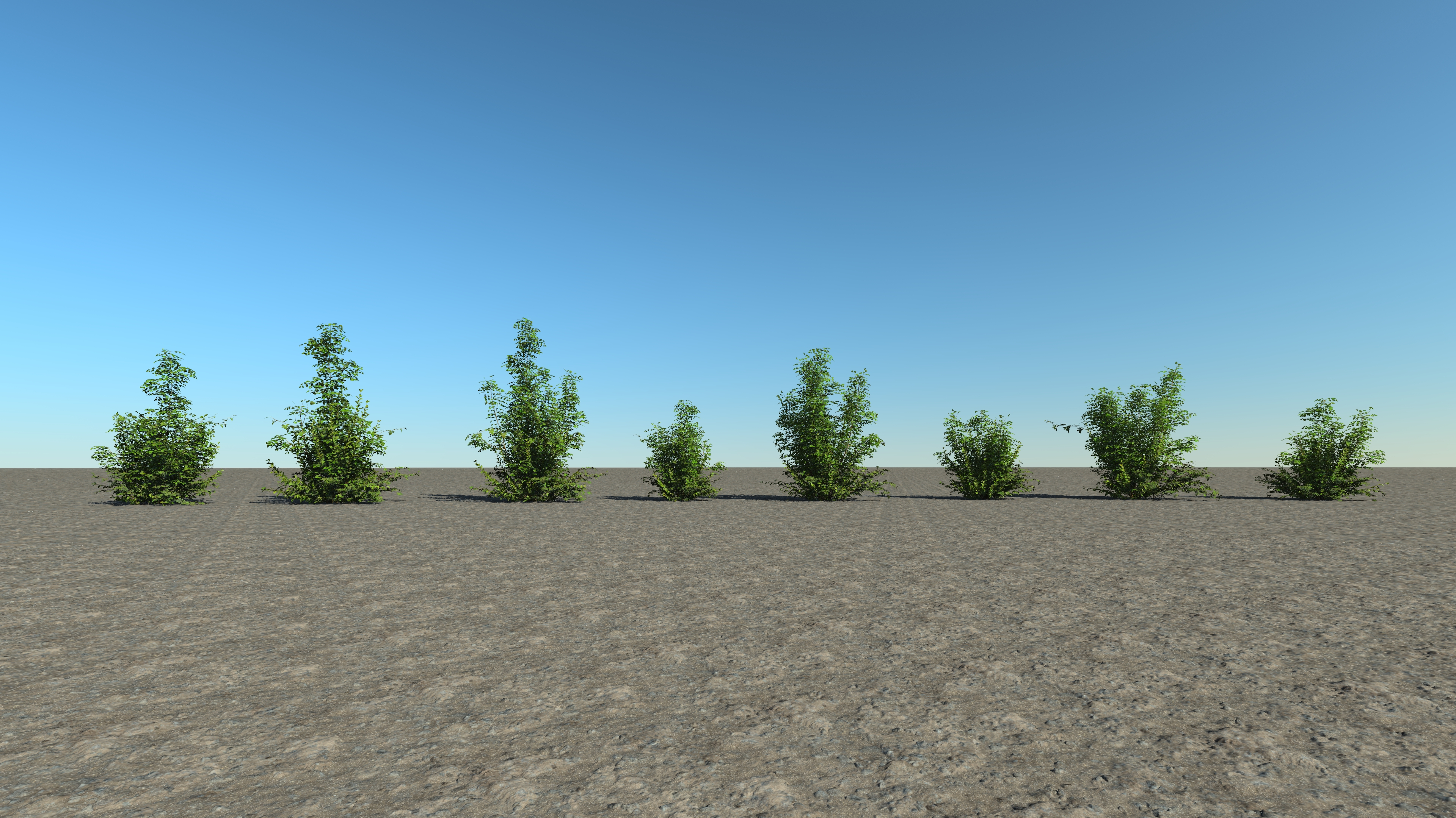 Roadside Bushes_3