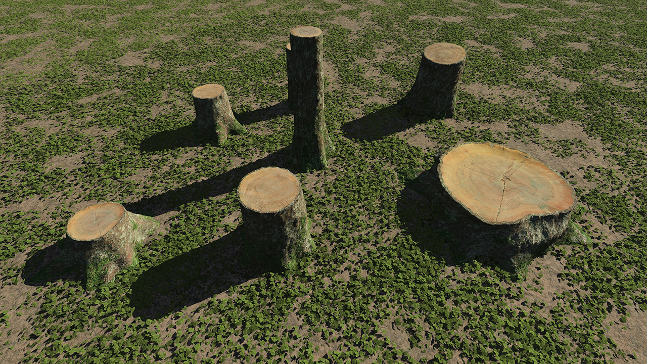 Cut Tree Stumps Vol_1_1