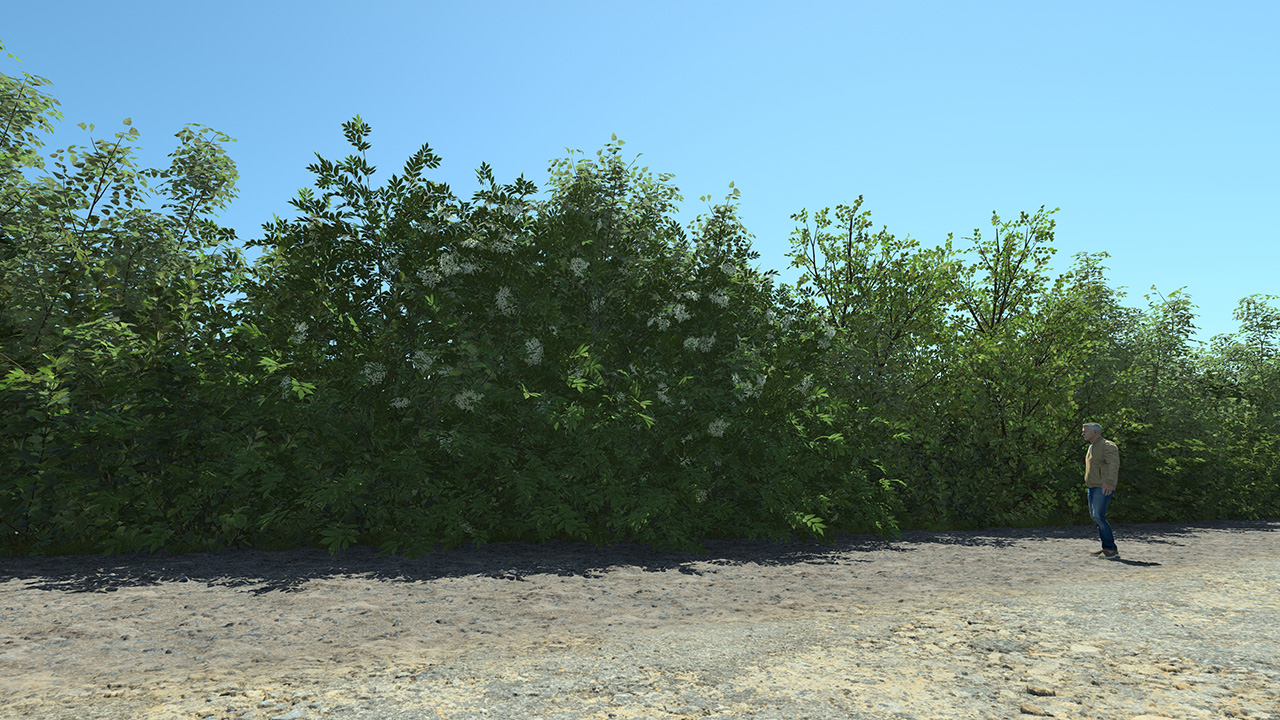 Vegetation Screen Biome_0