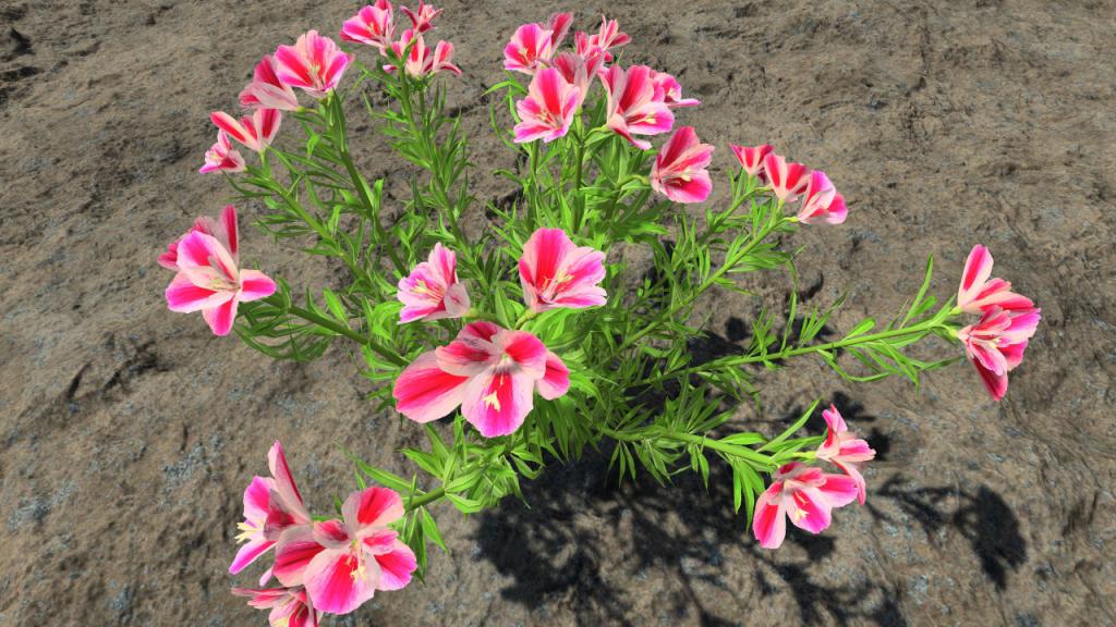 Farewell to spring