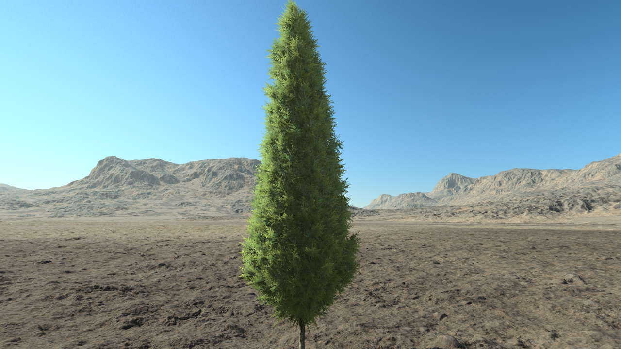 High thuja hedge_2