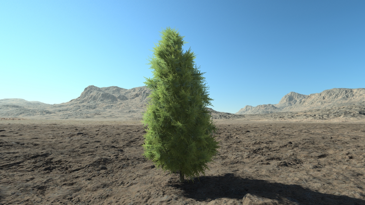 Small thuja hedge_0